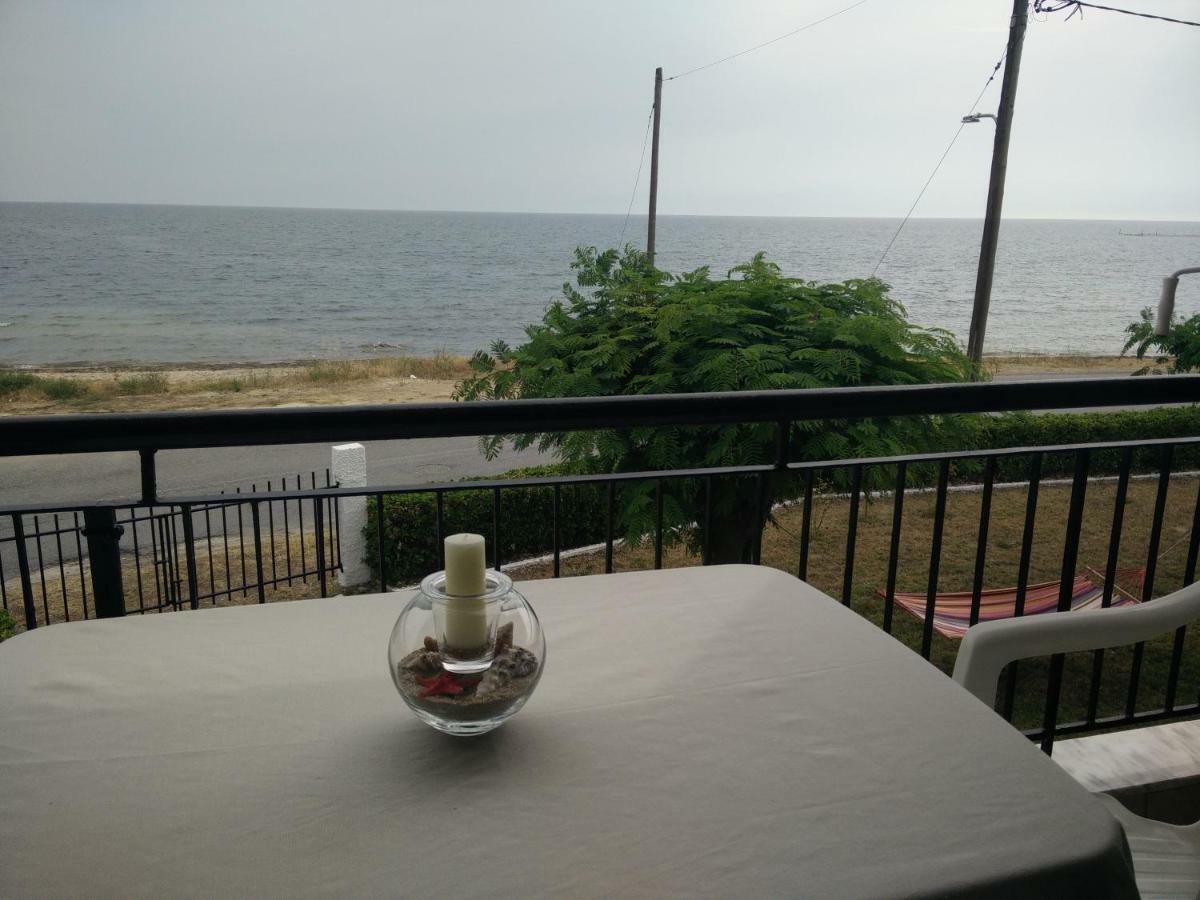 Seaside Studios I Sinakos Estate Epanomí Eksteriør bilde